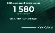 2025 жылғы І тоқсандағы жобаларды тексеру нәтижелері және құжаттаманы кері қайтарудың негізгі себептері