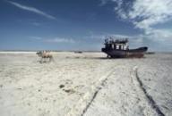 The international scientific-practical conference  «Modern ecological condition of the Aral sea,  prospects of the decision of problems»