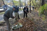 Жалпықалалық сенбілік